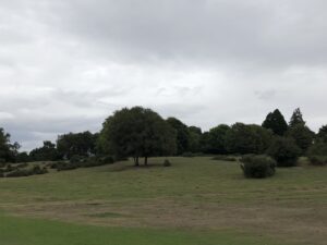 IMG_0939