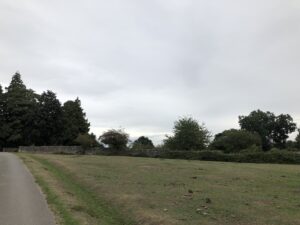 IMG_0940