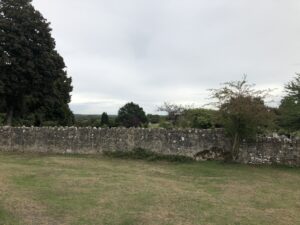 IMG_0941