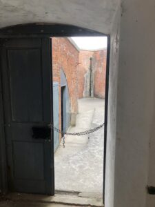 IMG_1041