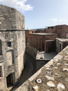 IMG_1050