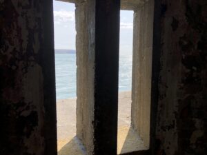 IMG_1101