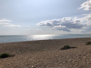 IMG_1115
